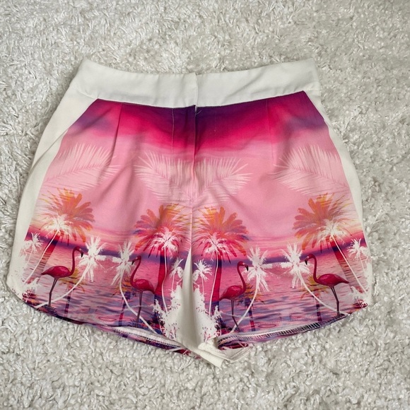 SABO SKIRT • Tropical Flamingo Swim Shorts - Picture 4 of 4